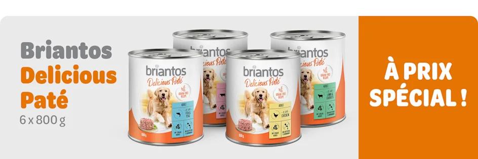 Boîtes Briantos Delicious Paté 6 x 800 g pour chien : 15 % de remise !