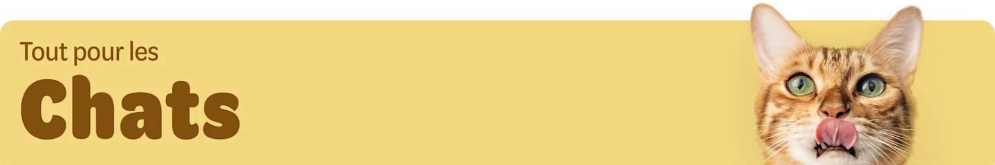 Tout pour les Chats