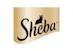 Sheba
