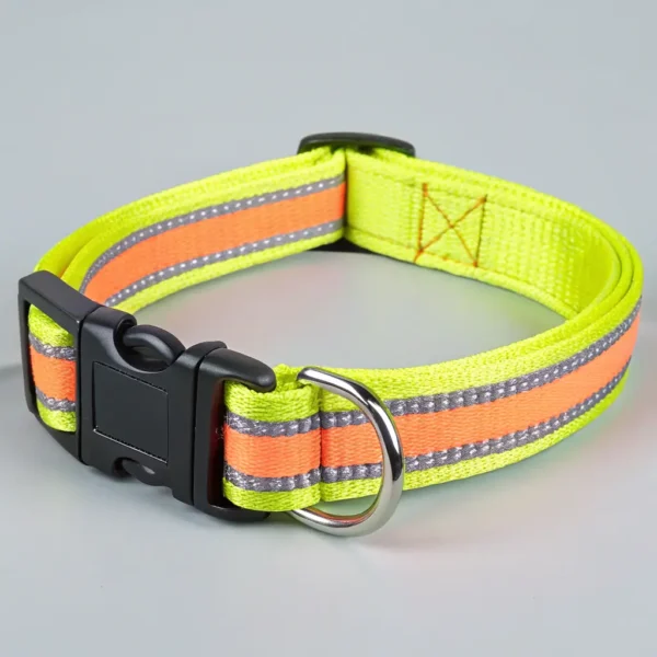Ruffwear Leash and Collar Set